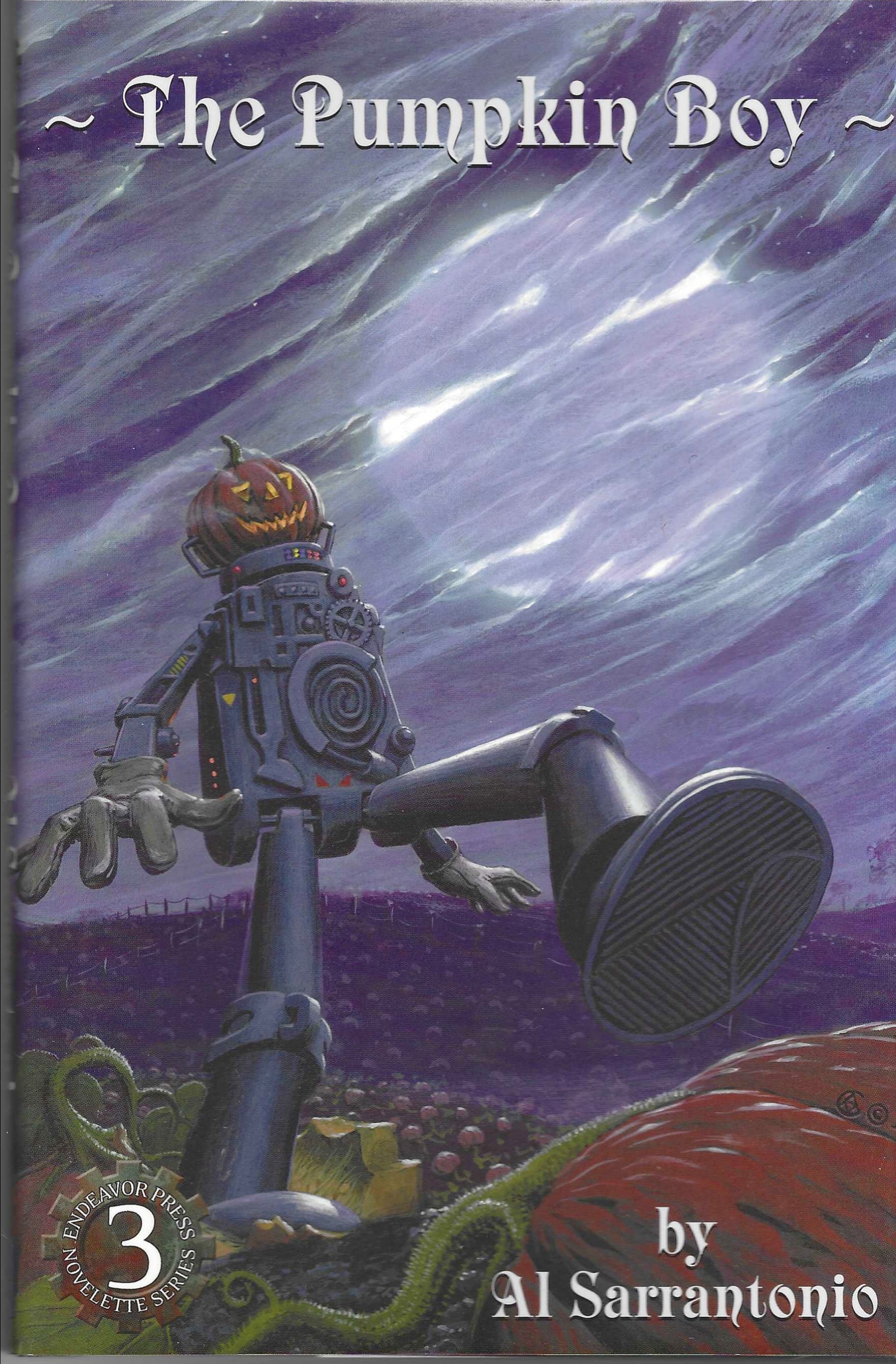 Cover of The Pumpkin Boy